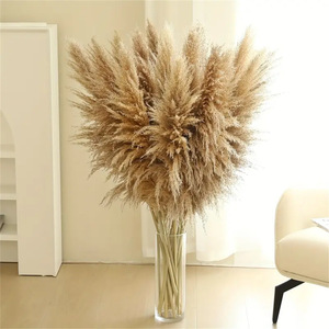 Approvisionnement direct usine : Grand <span class=keywords><strong>bouquet</strong></span> <span class=keywords><strong>de</strong></span> pampas artificiel en soie, herbe <span class=keywords><strong>de</strong></span> la pampa séchée naturelle, 60 cm, blanche, longue, fleur naturelle séchée - Product Image 2