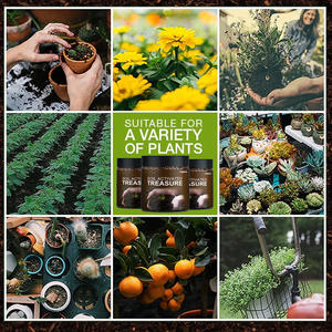 Venta caliente Previene el endurecimiento Polvo de enraizamiento rápido Aumento del rendimiento de la planta Mejorar la condición del suelo Activado por el suelo Tesoro Reducir - Product Image 5