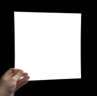 Feuille de diffuseur de polystyrène blanc givré en gros 1.2mm 1.5mm 2mm PS panneau de diffuseur de lumière pour luminaires à LED