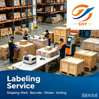 Transitaire chinois fiable SHUNHEYING, services LCL + Express pour marchandises dangereuses générales, DDU/DDP, destinations mondiales, assistance 24h/24 et 7j/7
