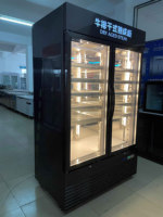 Réfrigérateur vieillissant à sec de boeuf réfrigérateur de maturation de viande double porte en acier inoxydable congélateur séchoir Machine réfrigérateur de vieillissement à sec de viande
