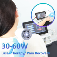 Appareil de thérapie laser de classe IV 30W 980nm haute puissance pour la rééducation des blessures sportives en clinique, humain et animal