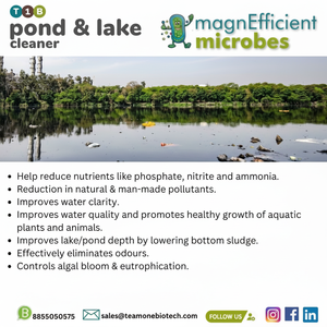 Biocultura ecológica de prevención de algas para lagos - Product Image 1