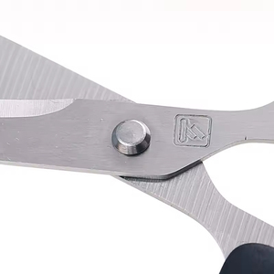 Chuyên Nghiệp Mini Lưỡi Thép Không Gỉ Kéo Nhựa Xử Lý Kéo Handmade Thợ May Cắt Kéo - Product Image 3