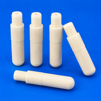 Custom Threaded Alumina Ceramic Rod Precision Machined Ceramic Stud Shaft for Semiconductor Equipment Ceramic Parts with Welding