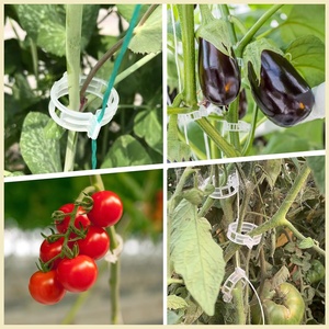 Clip <span class=keywords><strong>de</strong></span> fixation moderne pour légumes, fruits, tomates – Petit clip en plastique durable pour plantes grimpantes, boucle <span class=keywords><strong>de</strong></span> <span class=keywords><strong>tomate</strong></span> pour serre - Product Image 2