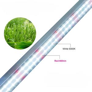 Premium IP66 sous auvent 120W LED élèvent des lumières LM301H <span class=keywords><strong>Evo</strong></span> + LM281B + Osraman Red 4ft Tube Lightsfor Dense Indoor Plant Canopy - Product Image 6