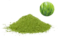 Poudre de jus d'herbe d'orge superalimentaire en vrac, extrait d'herbe d'orge, aliment santé, poudre d'herbe d'orge hydrosoluble