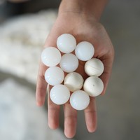 Balles en caoutchouc hautement élastiques pour tamis vibrant, pièces de rechange pour machine de criblage, tailles 15-60 mm, couleurs blanc/noir, pour l'exploitation minière