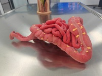 Modelo de Simulación Anatómica para la Educación en Enfermería y Formación en Salud