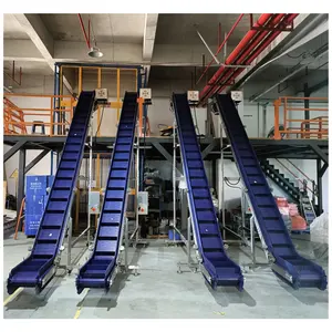 Focus Machinery 2024hot Sell Plastic Belt Incline Conveyor Slat Conveyor Food Grade Modular Belt Conveyor