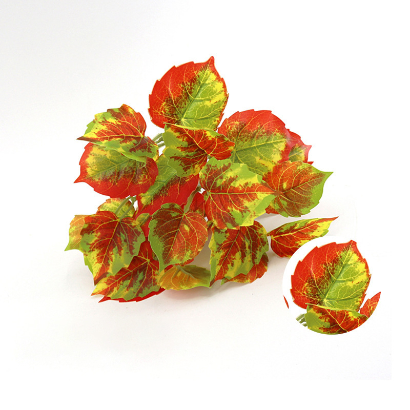 Autumn Creeper