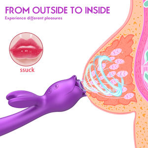 3-in-1-<span class=keywords><strong>Rabbit</strong></span>-Vibrator in Rosenform mit Saug-, Stoß- und Vibrationsfunktion zur G-Punkt-, Vaginal- und Klitorisstimulation – Sextoy für Frauen - Product Image 4