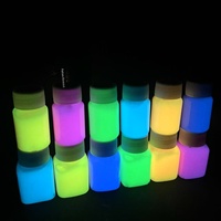 Ensemble de pigments lumineux imperméables et durables de 30ml peints à la main pour vêtements humains peinture de vêtements