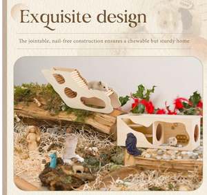 2 uds casas de hámster y escondites juego de túnel de hámster casa de madera para hámster con escalera de escalada jerbos erizos <span class=keywords><strong>ratas</strong></span> ratones - Product Image 5