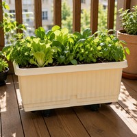 Bac de plantation surélevé en plastique avec roues et couvercle, potager portable pour la culture de légumes, herbes et fleurs en extérieur