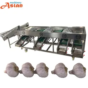 Garlic Sorting Grading Machine Allium Sativum Selecting Classifying Machine Garlic Size Calibration Machine