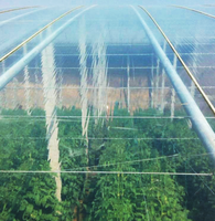 Film de serre PO de qualité supérieure, haute transmission lumineuse, économie d'énergie, film de couverture en polyoléfine pour l'agriculture moderne