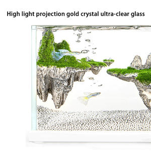 Nieuwe Hot Koop Creative Ecologische Kleine Aquarium Aquarium - Product Image 2