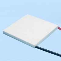 Plaques de refroidissement semi-conductrices pour appareils de beauté, petits ventilateurs, faible consommation d'énergie, grande différence de température, plaques semi-conductrices