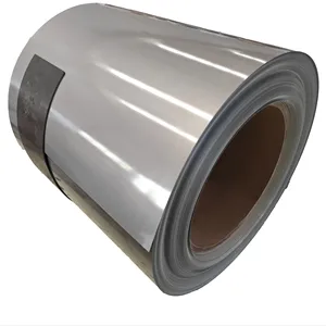 Vibrant Prepainted Galvanized Steel Coil for Dynamic Building Designs