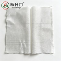 Géotextile tissé PP WSL 600g à faible élongation, stable et durable, pour les travaux de rétention des sols sur les pentes fluviales