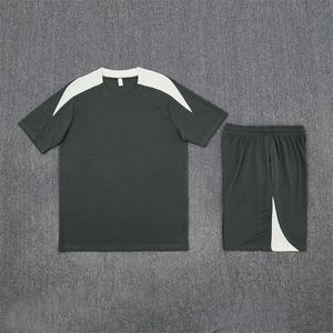 ชุดฟุตบอลฤดูร้อนแบบพิมพ์ลาย แขนสั้น ชุดฝึกซ้อม เบอร์ 25/26 เสื้อเจอร์ซีย์ ระบายอากาศได้ดี ผลิตจากโพลีเอสเตอร์/ไนลอน แห้งเร็ว คอกลม สำหรับทุกเพศ - Product Image 5