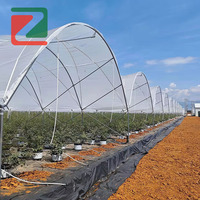 Rumah Kaca Film Multi Span dengan Tiang Y untuk Perlindungan dari Hujan bagi Stroberi dan Blueberry