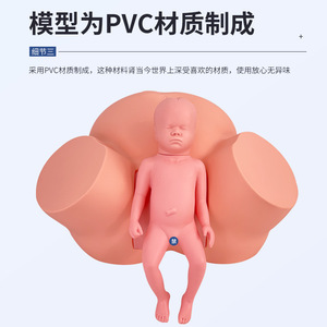 Modèle d'enseignement avancé en sage-femme, modèle de démonstration de naissance, modèle d'examen gynécologique, modèle de démonstration du travail et de l'accouchement - Product Image 5