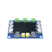 Carte d'amplificateur audio XH-M542 TPA3116 100W, DC 12V 24V, TPA3116DA, carte d'amplificateur audio numérique monocanal, module d'amplificateur haute puissance