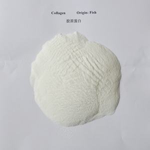 סוג מזון כיתה סוג קולגן סוג 1 אבקת קולגן מודרוליזות עור ים טהור - Product Image 2
