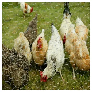 wholesale customization Hot Dip Electro Galvanized Animal Cage Fence Poultry Chicken Hexagonal Wire Mesh Gabion Mesh