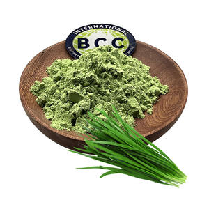 BCC Soluble Dans L'eau Essence Naturelle Légumes Déshydratés Extrait De Graines De Poireaux Poudre De Jus De <span class=keywords><strong>Poireau</strong></span> - Product Image 1