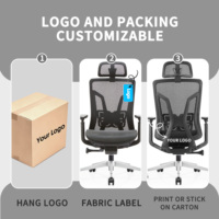 Chaise de direction ergonomique haut de gamme en maille avec soutien lombaire 360 °   Accoudoirs pivotants et réglables pour les gestionnaires de bureau