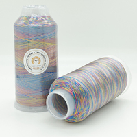Benang Bordir Rayon Viscose 100% Multi Warna 120d/2 4000m untuk Mesin Bordir Komputer