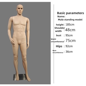 Modèle de corps entier, homme musclé <span class=keywords><strong>sexy</strong></span> assis, à vendre - Product Image 4