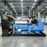 Générateur diesel de 100 kW avec générateur diesel de 200 kW, solution d'alimentation industrielle robuste