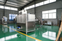 Machine à peler les fruits commerciale, équipement de pelage de fruits à haute efficacité pour diverses utilisations dans les usines agroalimentaires et les fermes