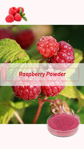 Suco De Fruta <span class=keywords><strong>Berry</strong></span> Misturado Orgânico Super <span class=keywords><strong>Berry</strong></span> Em Pó Mirtilo Amora Morango Fresco Misturado <span class=keywords><strong>Berry</strong></span> Em Pó - Product Image 2