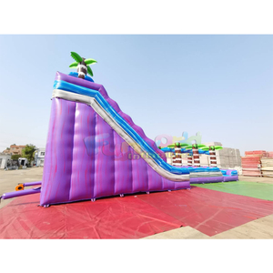 Giant outdoor kids party tobogan hinchable purple plunge <b>inflatable</b> tropical hurricane <b>water</b> <b>slide</b> with pool - Product Image 4