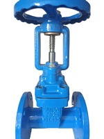 Vanne à boisseau vertical en métal pour siège en métal, 6 pouces, PN16, pour température normale, sans pièces souples, joint EPDM, étanche à l'eau