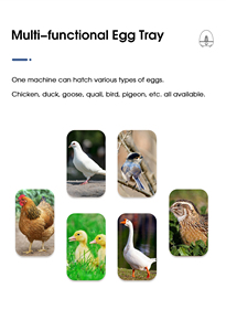 Incubadora <span class=keywords><strong>de</strong></span> <span class=keywords><strong>Huevos</strong></span> WONEGG con Forma <span class=keywords><strong>de</strong></span> Pollito, Capacidad para 8 <span class=keywords><strong>Huevos</strong></span>, Incubadora Automática <span class=keywords><strong>de</strong></span> <span class=keywords><strong>Huevos</strong></span> <span class=keywords><strong>de</strong></span> <span class=keywords><strong>Gallina</strong></span> para Incubación, Países Bajos - Product Image 3