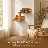 Griffoir et perchoir mural à deux niveaux pour chat, en sisal, avec étagère en bois robuste, pour protéger le canapé, gain de place, pour la maison