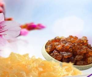 Jamur telinga salju jamur perak putih dan gusi persik dapat dimakan alami campur - Product Image 1