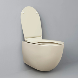 Inodoro circular <span class=keywords><strong>de</strong></span> doble descarga montado en la pared para baño y cocina, color <span class=keywords><strong>arco</strong></span>íris, inodoro <span class=keywords><strong>de</strong></span> cerámica con succión, gris cemento mate, sanitario. - Product Image 3