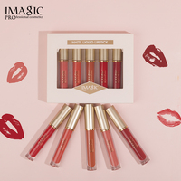 Brillant à Lèvres Mat Étanche Sans Transfert Crémeux Parfumé Très Pigmenté Longue Durée Finition Velours Kit Lèvres Marque Privée