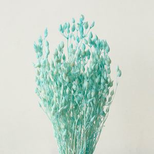 Yongsheng Flower - Ramo de Flores Importadas de Hierba Voladora, Venta al por Mayor de Fábrica, Decoración para el Hogar - Product Image 3