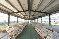Produits d'entrepôt américain : Hangars agricoles préfabriqués, hangars pour bovins, bâtiments agricoles, hangars pour l'élevage de bétail et de volailles, hangars pour l'élevage de chèvres