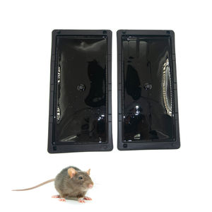 <span class=keywords><strong>Profesional</strong></span> al por mayor interior superadhesivo ecológico desechable rata pegamento tablero repelente <span class=keywords><strong>de</strong></span> ratones eficaz para sostenible - Product Image 1