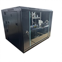 Kabinet Rak Server Jaringan Kustom 19 Inci dengan Engsel, Model Ayun Ganda 4U 6U 9U 12U untuk Komunikasi IT